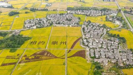 文化賦能，煥新鄉村——崇州入選全省首批文化產業賦能鄉村振興試點縣